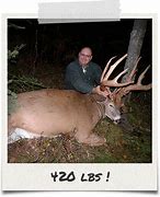 Image result for 150 Inch Class Whitetail