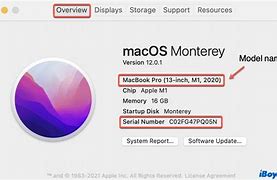 Image result for MacBook Pro Serial Number