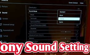 Image result for Old Sony TV Sound Controls