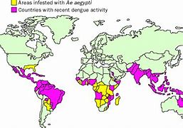 Image result for Dengue Fever Distribution