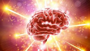 Image result for Smart Brain People