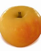 Image result for Yellow Transparent Apple Tree