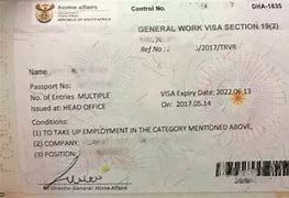 Image result for General Work Visa Section 19 2