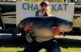 Image result for Biggest Catfish Ever Caught USA