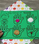 Image result for Five Sense Activity for Preschoolers