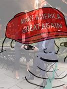 Image result for Triggered Wojak