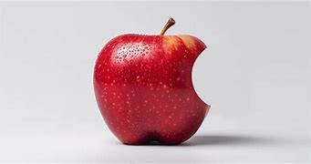 Image result for Apple Brand Current Logo