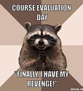 Image result for Friday Raccoon Meme