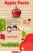 Image result for Facts About Apple Fruit