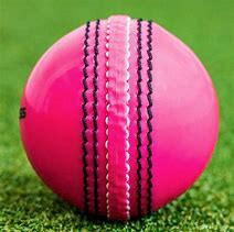 Image result for Cricket Pictures for Kids