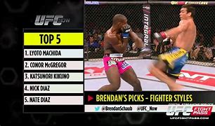 Image result for UFC Fighting Styles