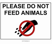 Image result for Do Not Feed Animals Sign