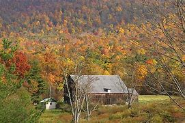 Image result for Top Fall Foliage in Pennsylvania
