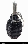 Image result for Pineapple Hand Grenade