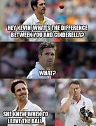 Image result for Funny Cricket Jokes T20