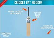 Image result for Cricket Bat Vector