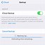 Image result for Backup iPhone 6 Plus