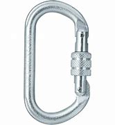 Image result for Climbing Carabiner Auto