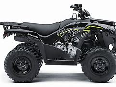 Image result for Brute Force 300 with Mud Tires