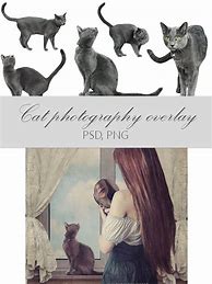 Image result for Cat Ears Overlay