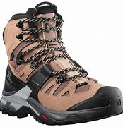 Image result for Salomon Hiking Shoes