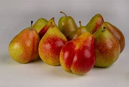 Image result for Pear Characteristics