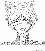 Image result for Cute Cat Noir Moments