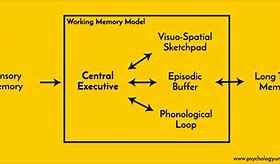 Image result for Working Memory Model