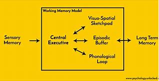 Image result for What Is Working Memory Theory