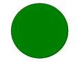 Image result for Green Circle Icon