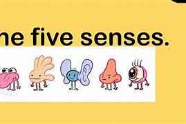 Image result for Senses Animation