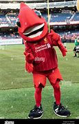 Image result for Liverpool Match Day Mascot