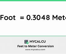 Image result for Feet to Meters Conversopn