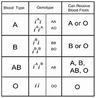 Image result for Homozygous in a Table