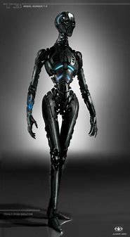 Image result for Terminator Female Cyborg