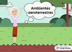 Image result for aeroterrrstre
