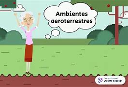 Image result for aeroterrdstre