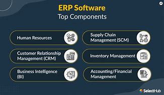 Image result for Parts of an ERP System