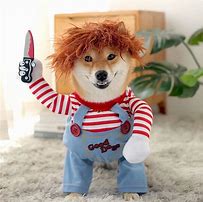 Image result for Anime Dog Costume