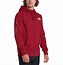 Image result for North Face Gold and Black Hoodie