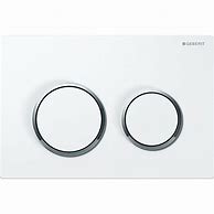 Image result for Geberit Push Button