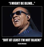 Image result for Funny Stevie Wonder Meme