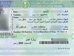 Image result for Saudi Arabia 1Year Visa