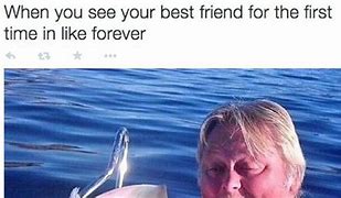 Image result for There Goes Your Best Friend Meme