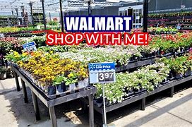 Image result for wal mart gardening centers
