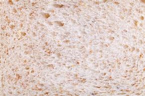 Image result for Bread Texture