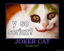 Image result for Cat Joker Laughing at You Meme