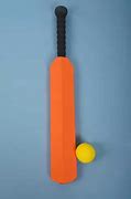 Image result for SS Bat and Leather Ball