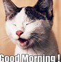 Image result for Humorous Morning Greetings