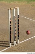 Image result for Wicket Nad Ball